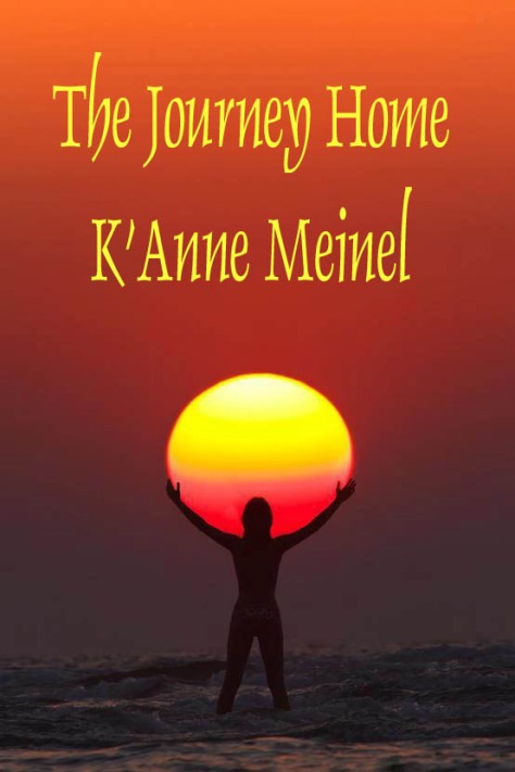 The Journey Home Front Cover